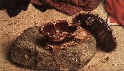 GOES, Hugo van der Monforte Altarpiece (detail) oil on canvas